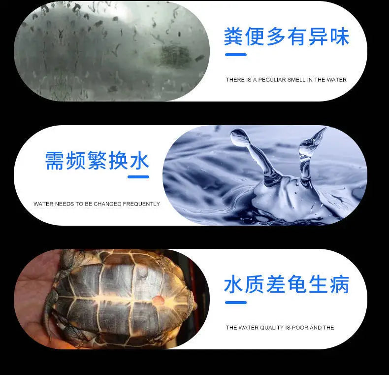 Aquatic and amphibious ecological tank, swamp fish tank, pot, turtle box, turtle tank, household feeding box