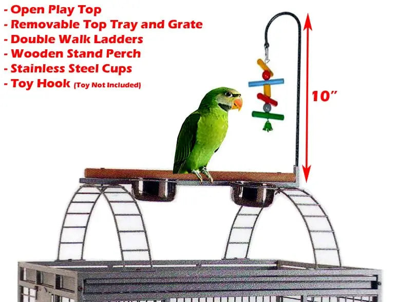 Large Double Ladders Open Play Top Wrought Iron Bird Cage Parrot Parakeet Finch Macaw Cockatoo  Includes Seed Guard and Toy Hook
