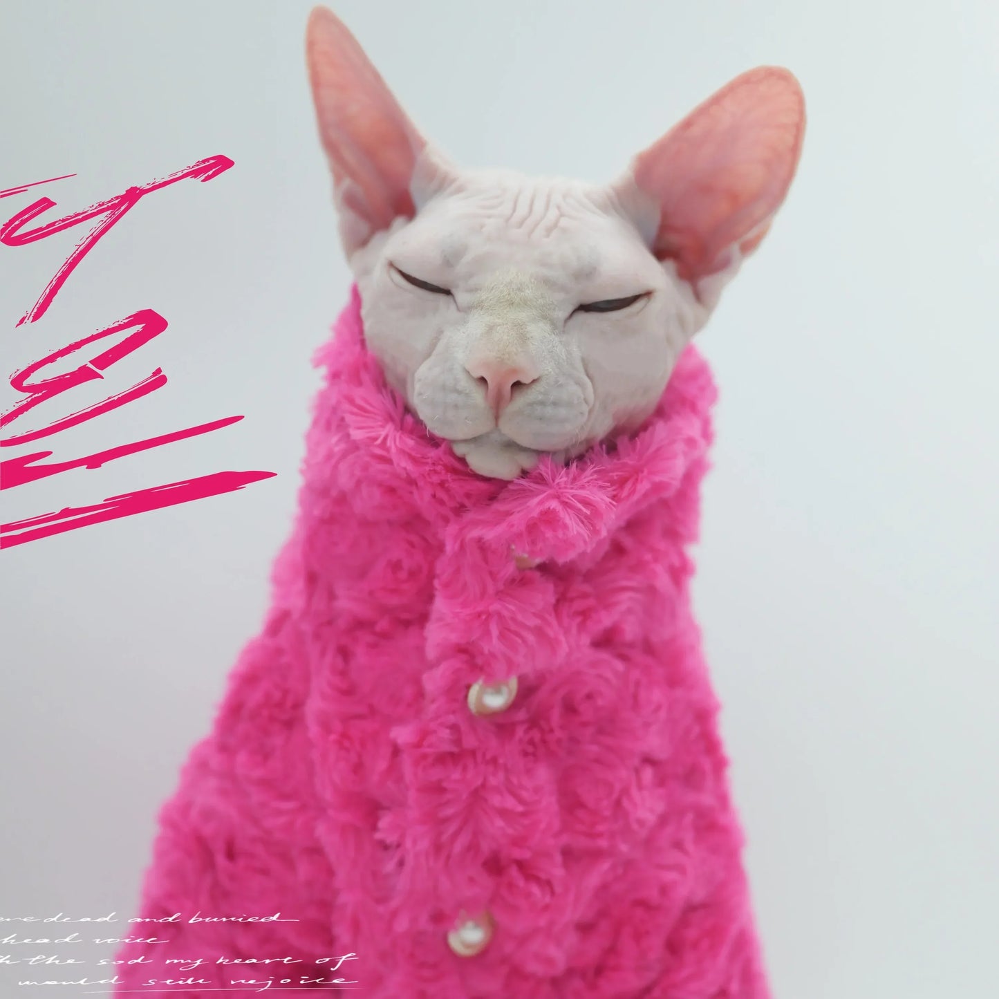 Hairless Cat Clothes Winter Two-layers Warm Thick Cat Apparel for Sphynx Cats, Devon Rex Cats, Small Cats and Dogs