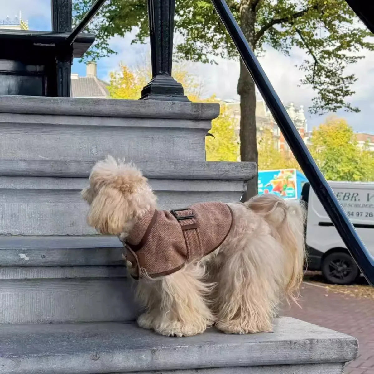 Fashionable British-Style Brown Pet Coat With Woolen Fabric - Dog Clothing