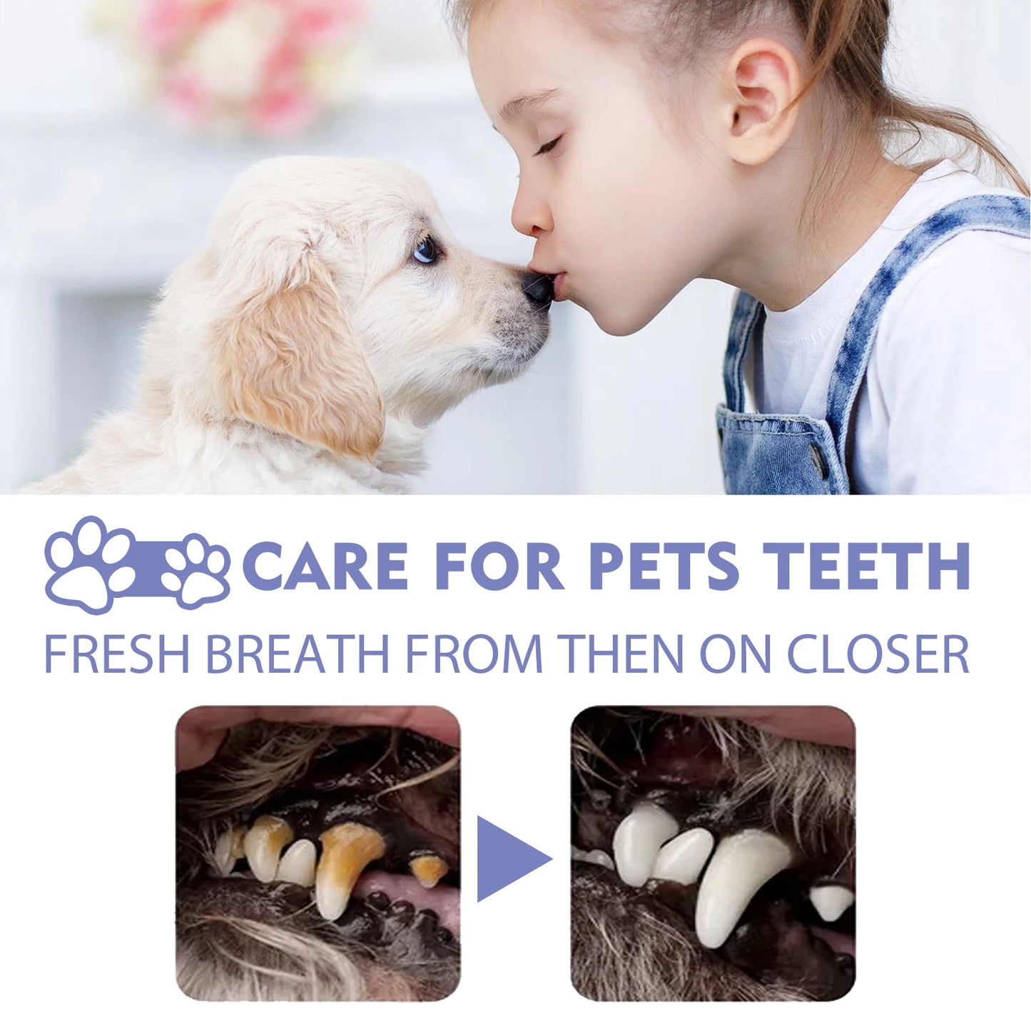 Pet Teeth Cleaning Spray for Cats & Dogs Stain Remover & Deodorizer Spray Fresh Breath Pet Oral Care Tools