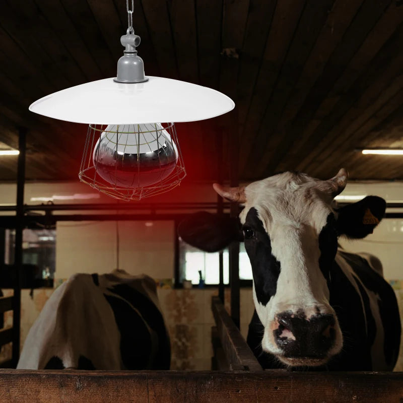 220V Poultry Heating Bulb 150/200/250W Infrared Insulation Heat for Reptiles Plants Amphibians Pets Livestock and Poultry