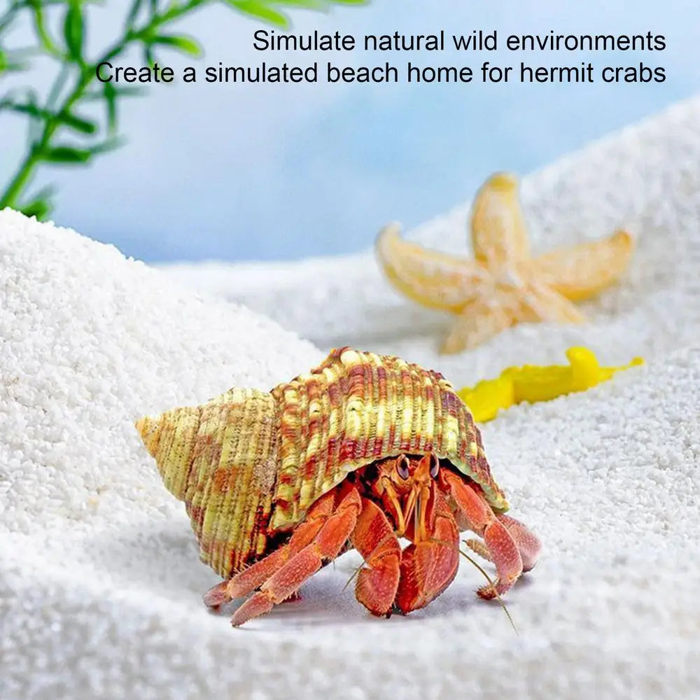 Reptile hermit crab breeding sand natural safe ecological white sand for hermit crabs hamsters fish tank landscaping supplies