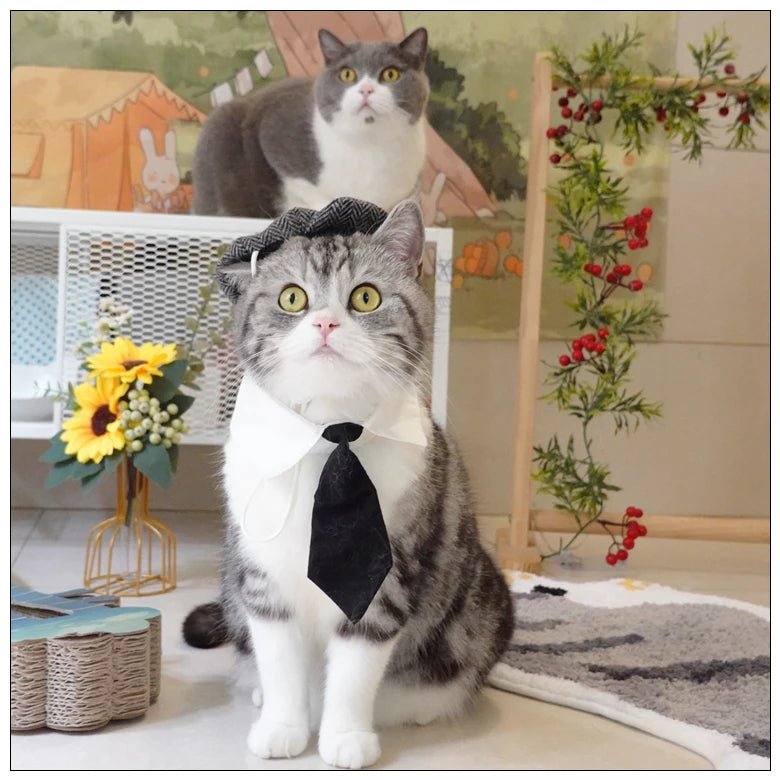 Funny Pet Cat Hat and tie Gentleman's Hat Beret Tie Bathing Blood Gangster Handsome Cosplay Photo Prop Pet Halloween Costume