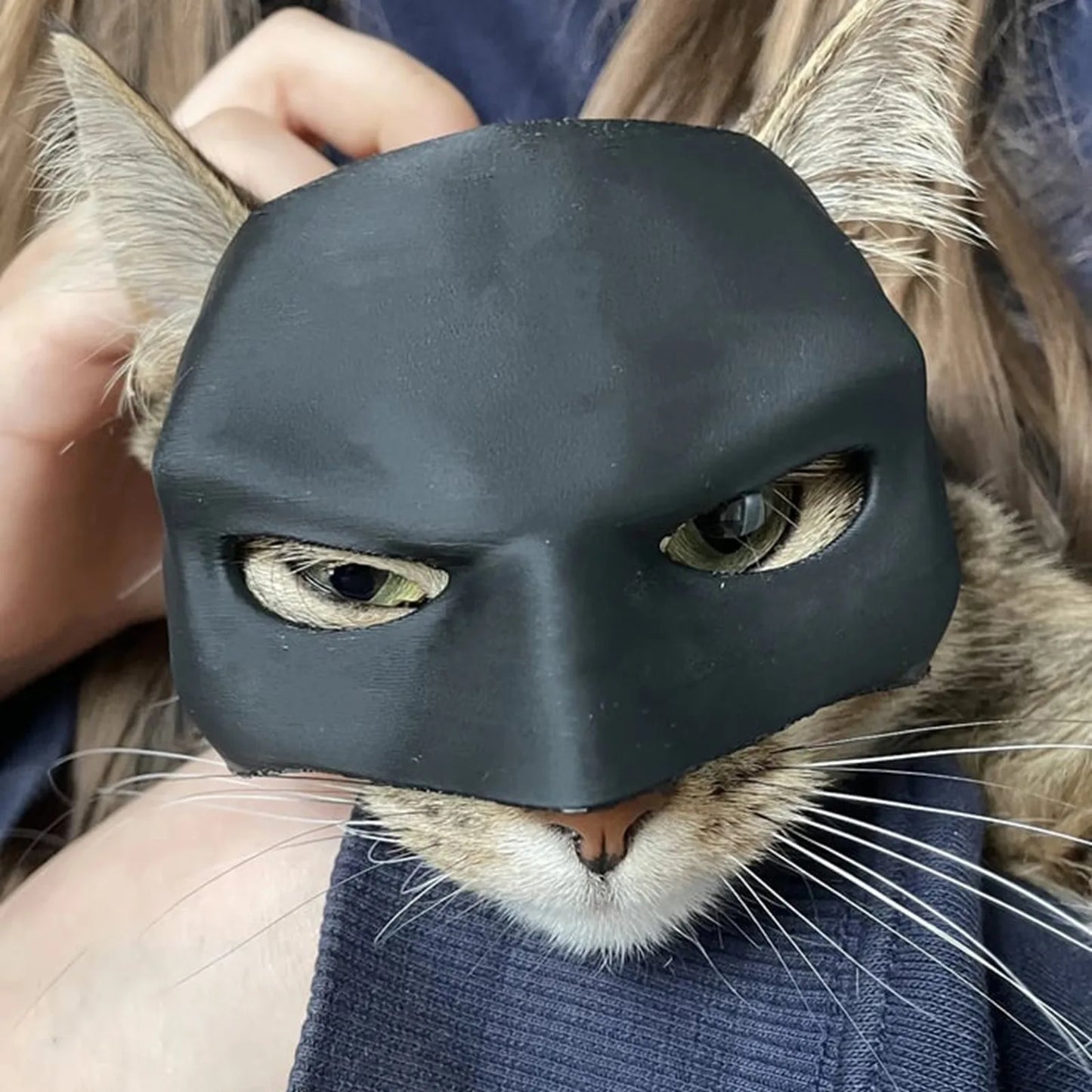Halloween Cat Mask, Bat Cosplay Clown Pet Costume for Parties, Spooky Masquerade Prop, Stylish Black Half Face Mask Cat Accessory
