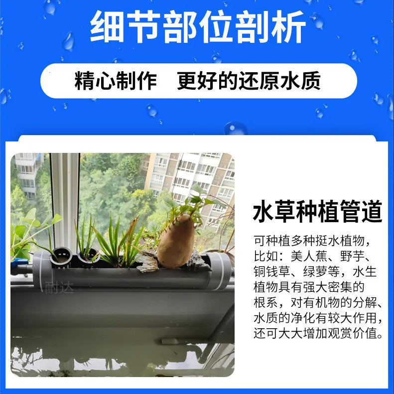 Aquatic and amphibious ecological tank, swamp fish tank, pot, turtle box, turtle tank, household feeding box