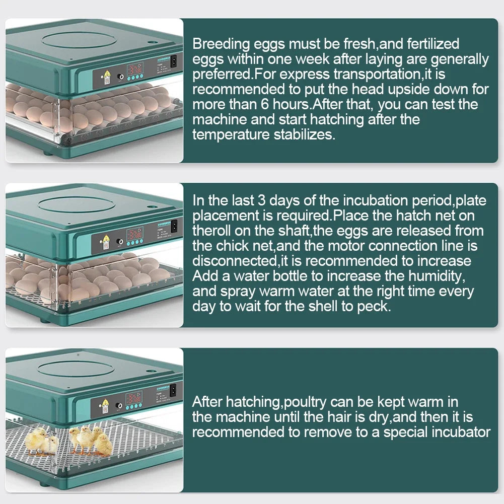 6-12 Eggs Incubator for Chicken Goose Bird Quail Automatic Incubation Equipment Hatchery Incubation Tool US Plug Dual Electric design