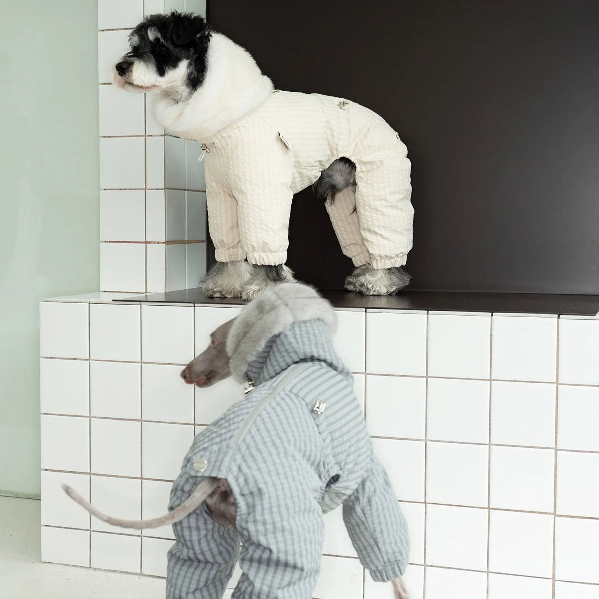 Thick Plaid Down Coat for Dogs in Winter Waterproof Windproof Grey Warm 4-leg Mink Fur Collar Puffer Jacket for Italy Greyhound