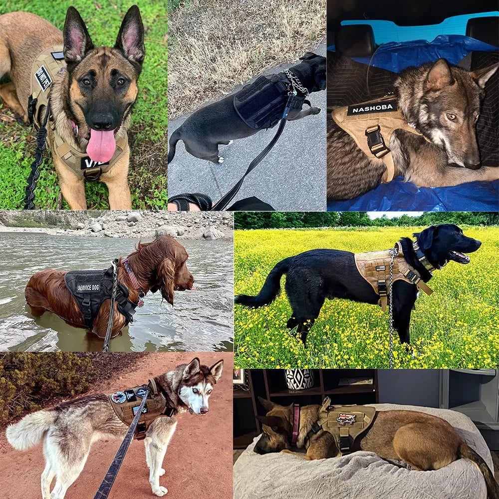 Military Large Dog Harness Collar Leash Bags Patches Set Malinois Training Vests Tactical Dogs Harnesses Accessories