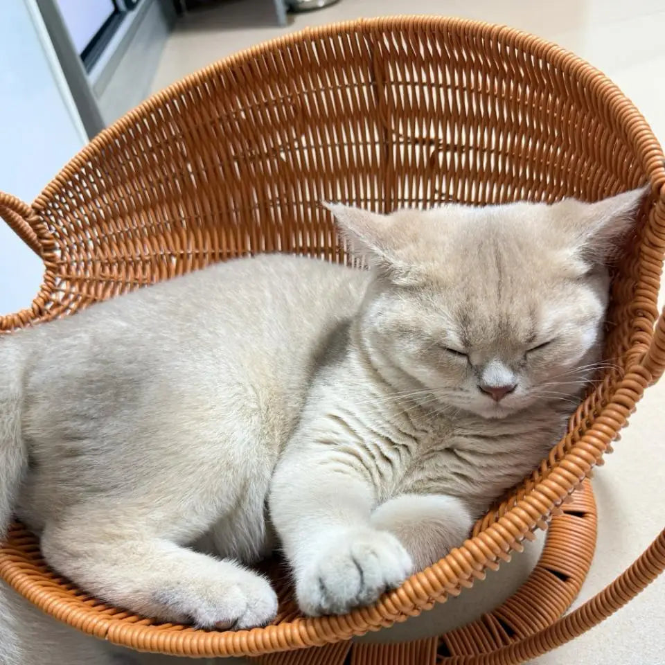 Faux-Woven Cat Bed Nest Cat Basket Cats Swing Hammock Waterproof Indoor Pet House Semi-Enclosed Cave Bed Pet Accessories