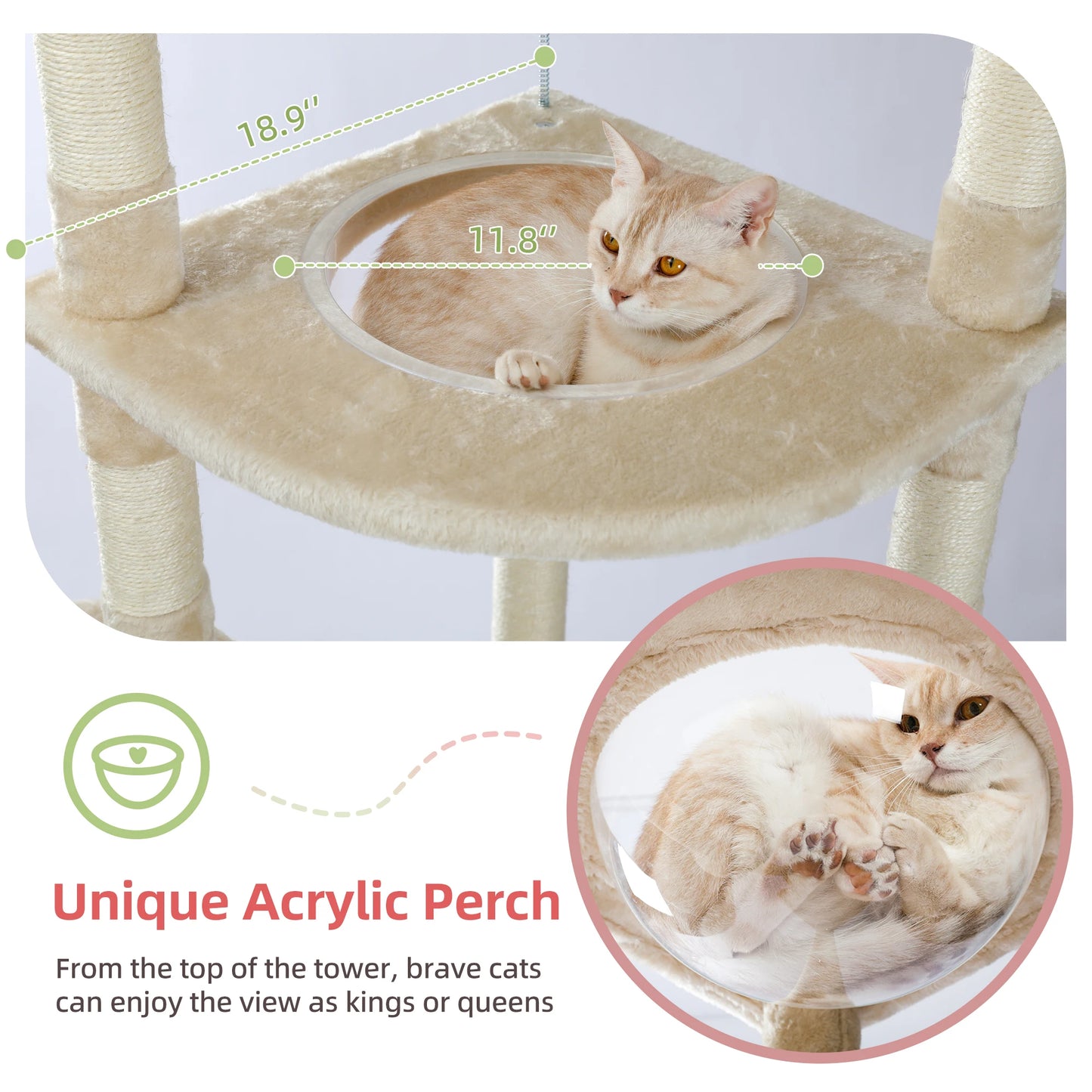 Floor to Ceiling Cat Tree Adjustable Cat Tower Tall Kitty Climbing Play House Tall Kitty Climbing Play House with Scratching Posts Cozy Condo Perches Hammock