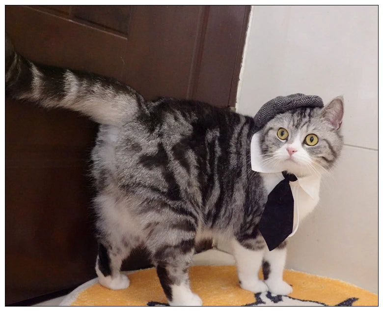 Funny Pet Cat Hat and tie Gentleman's Hat Beret Tie Bathing Blood Gangster Handsome Cosplay Photo Prop Pet Halloween Costume