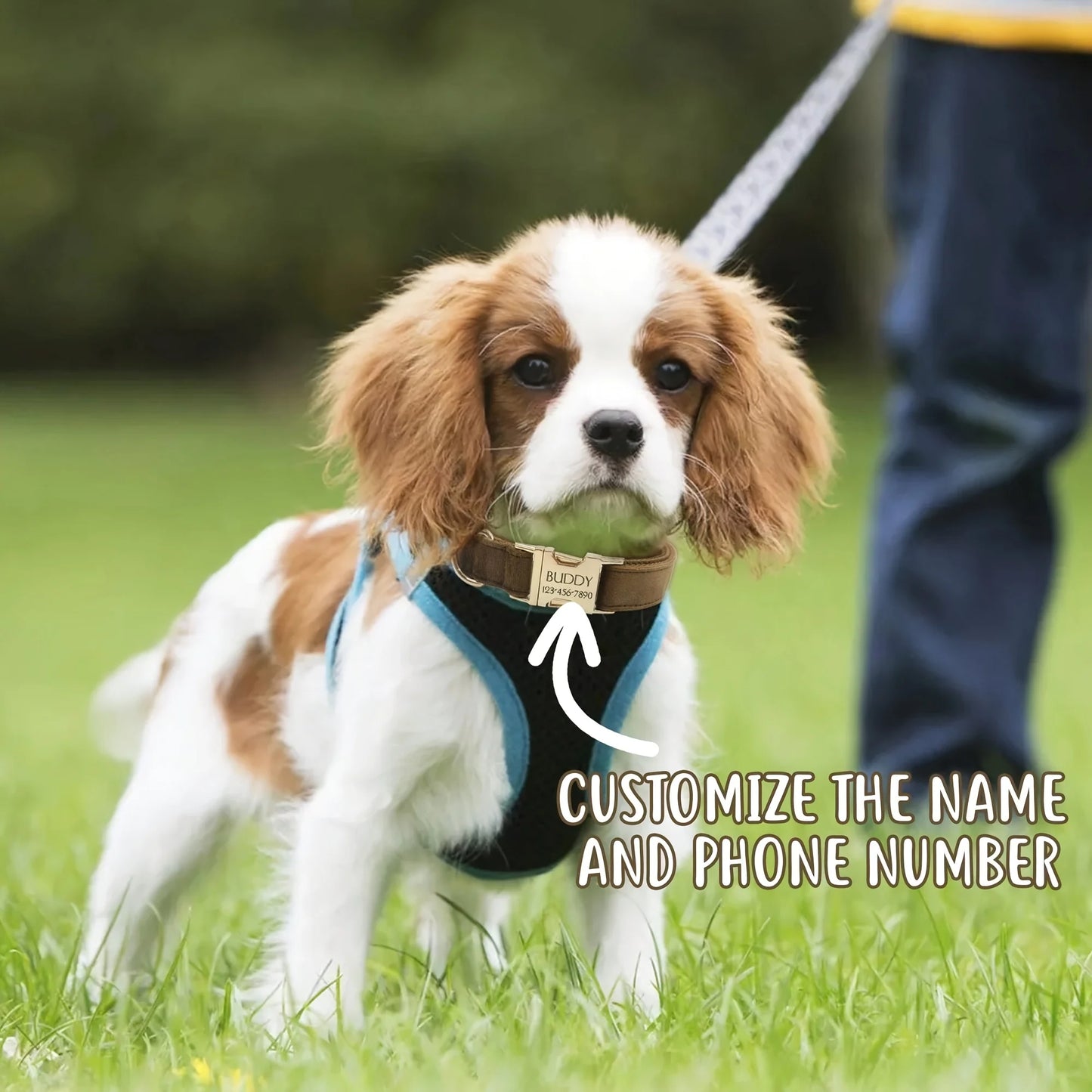 1pc Personalized Dog Collar Velvet, Engraving Custom Name Phone Number ID Tag, Soft Comfy Adjustable Collars For Small Medium Large Dogs