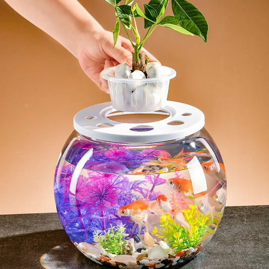 Miniature Landscape Transparent Small Clear Fish Tank Plastic Shatterproof Turtle Aquarium With Lid Goldfish Tank Home Decor