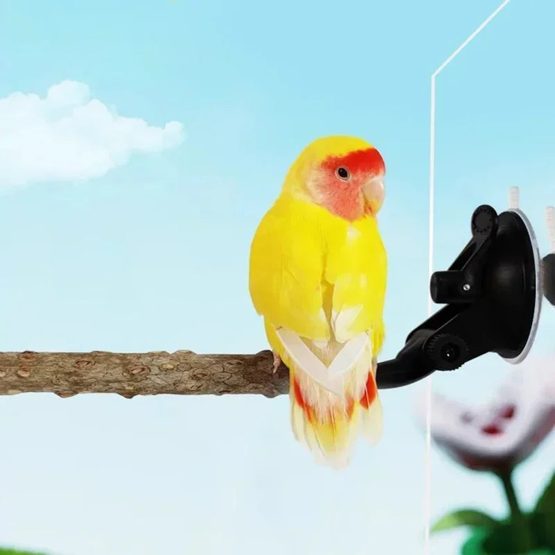 1pc-natural wood bird perch rod, parrot claw grinder rod, bird cage accessories, bird cage claw grinder bracket rod