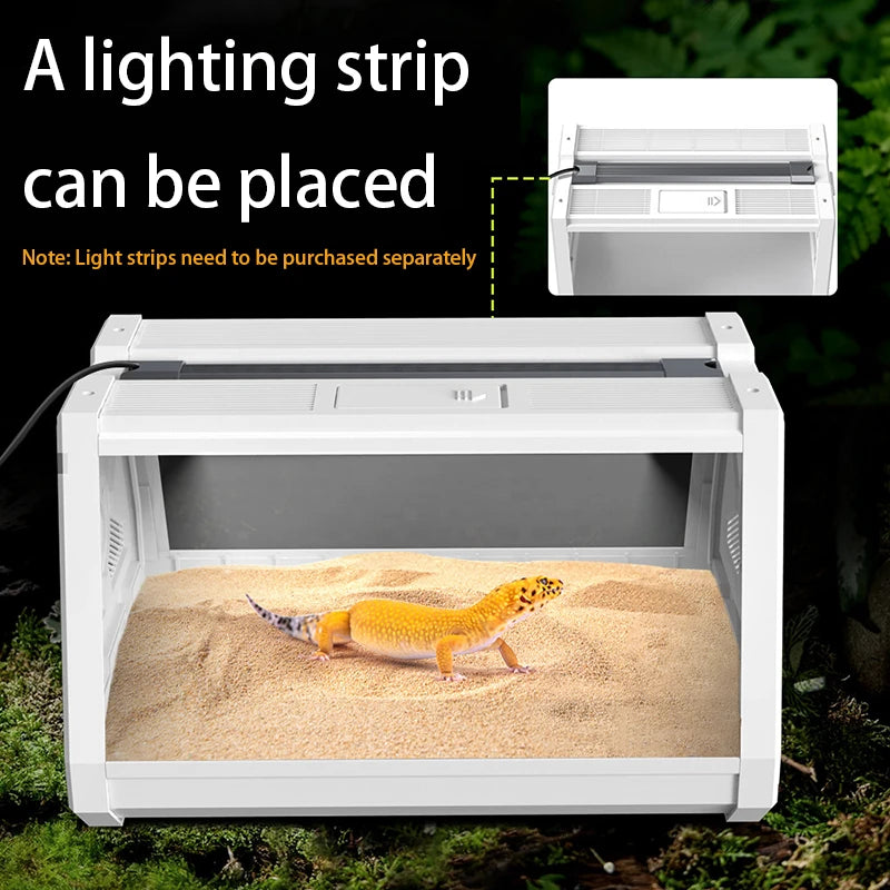 Reptile Terrarium Desktop Ecological Tank Escape-Proof Ventilated Habitat Breeding Box Mini Reptile Habitat for Gecko Snake Frog