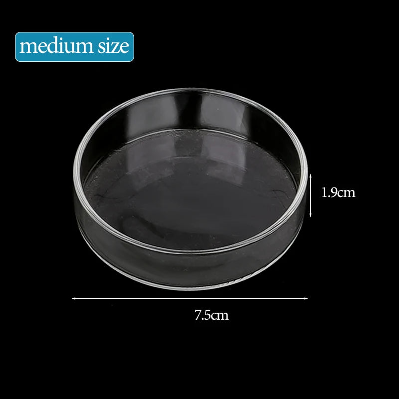 Aquarium Feeding Bowl Fish Tank Feeder Shrimp Tropical Fish Ratfish Glass Feeding Dish Clear Round Tray Reduce Food Scraps