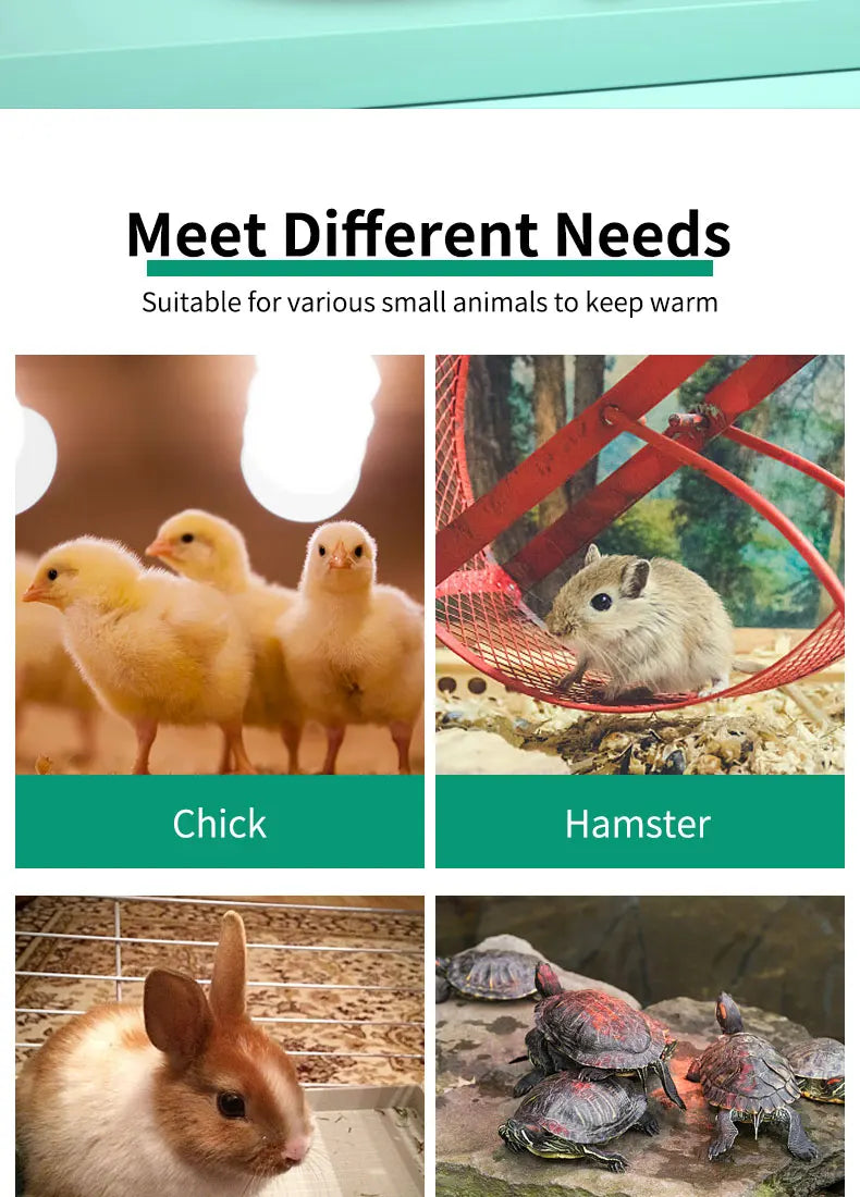 Pet Heater Animal Heating Lamp Warm Light Lamp Thermostat Thermostat Heater Reptile Box Heating Lamp 220V 150W For Incubator