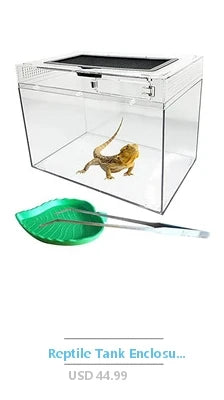 Reptile Terrarium PC Tank Starter Kit 15.6x8x10 inch Anti Breakage Amphibians Habitat Ventilation Kit Starter Accessories