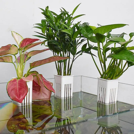 Hanging Aquarium Plant Holder Aquascape Decoration