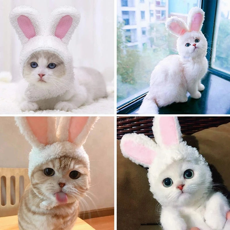 Cat Cosplay Dress Up Pet Hat Lion Mane for Cat Puppy Lion Wig Costume Party Decoration Halloween Christmas Cat Pet Supplies