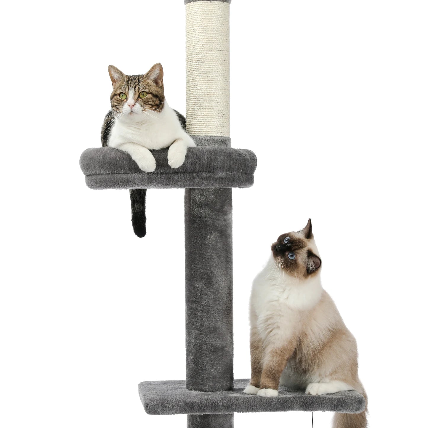 Adjustable Floor-to-Ceiling Vertical Cat Tree Tower Stable Tall Cat Climbing Tree Cat Kittens Cat Toy Suitable for Indoor Cats