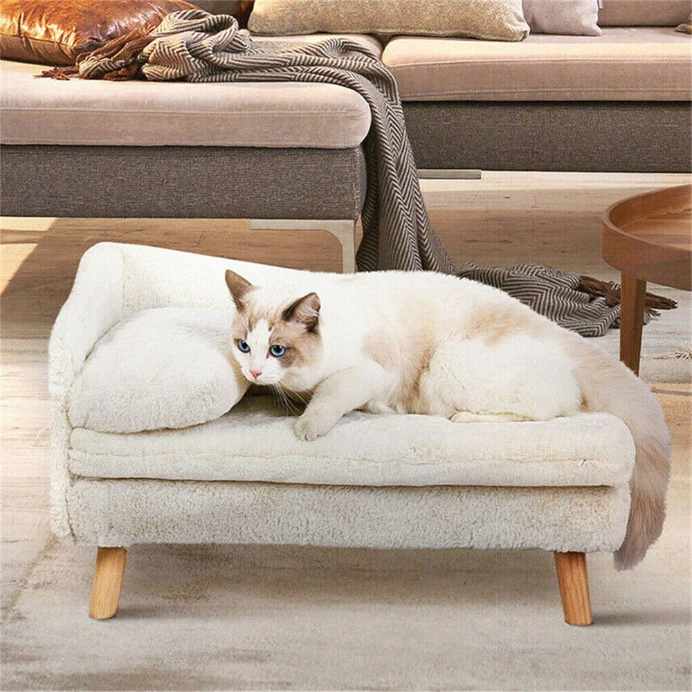 Luxury Elevated Dog  Cat Sofa Bed with Backrest Plush Cushion for Small Medium