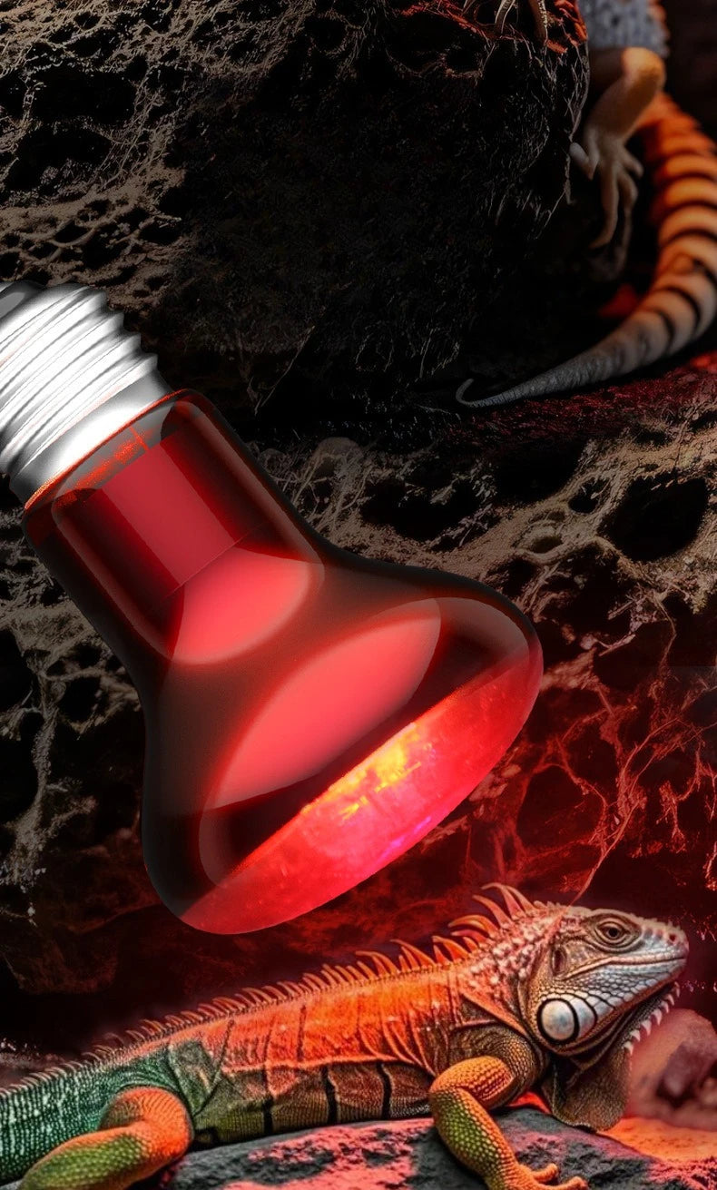 220V Reptile Heat Lamp Bulb Infrared Basking Spot Lamp Red Heat Lamp Bulbs Amphibian Gecko Lizard E27 Infrared Reptile Light