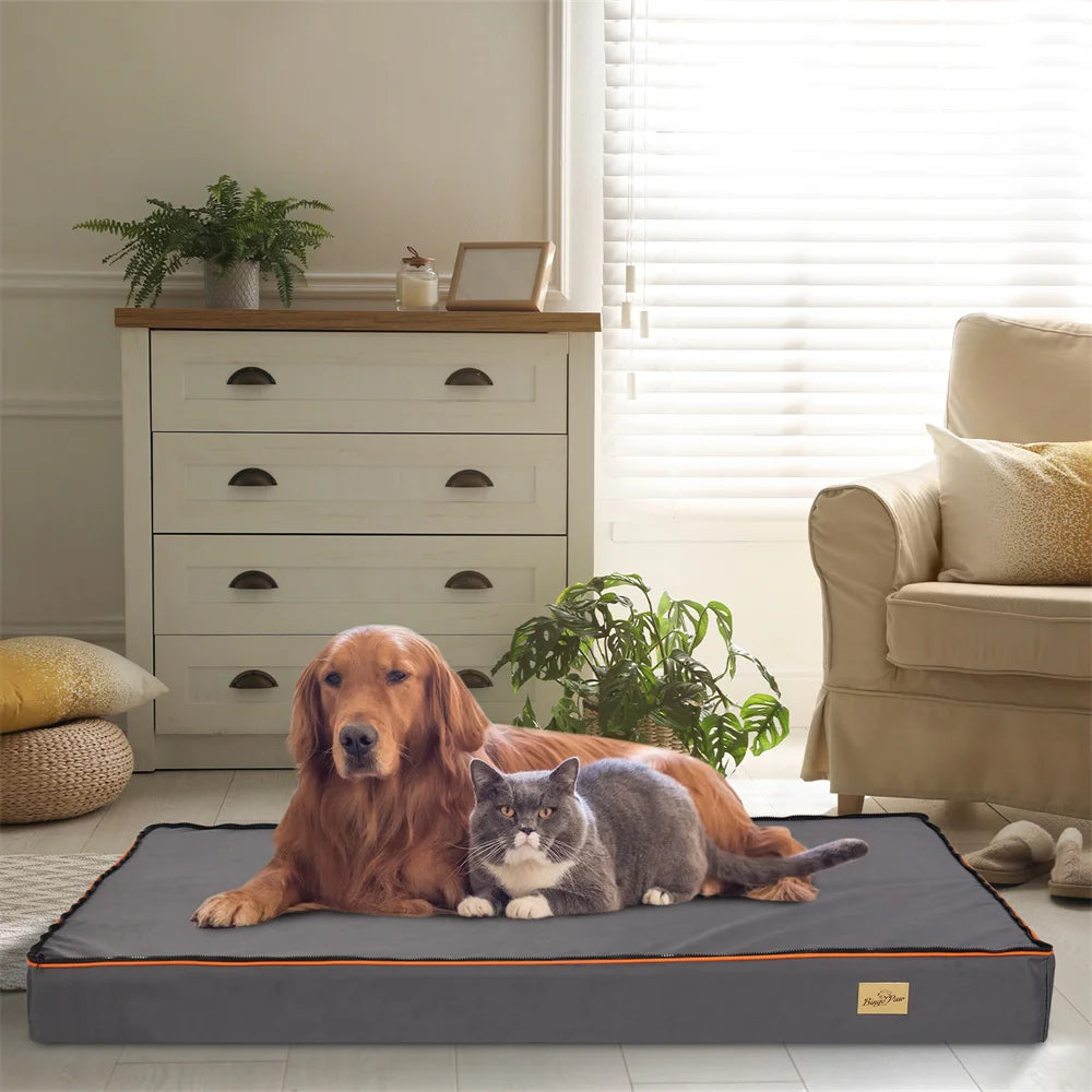 Premium Large Orthopedic Memory Foam Dog Bed Waterproof Pet Jumbo Mattress with Orange Trim Washable Water Resistant