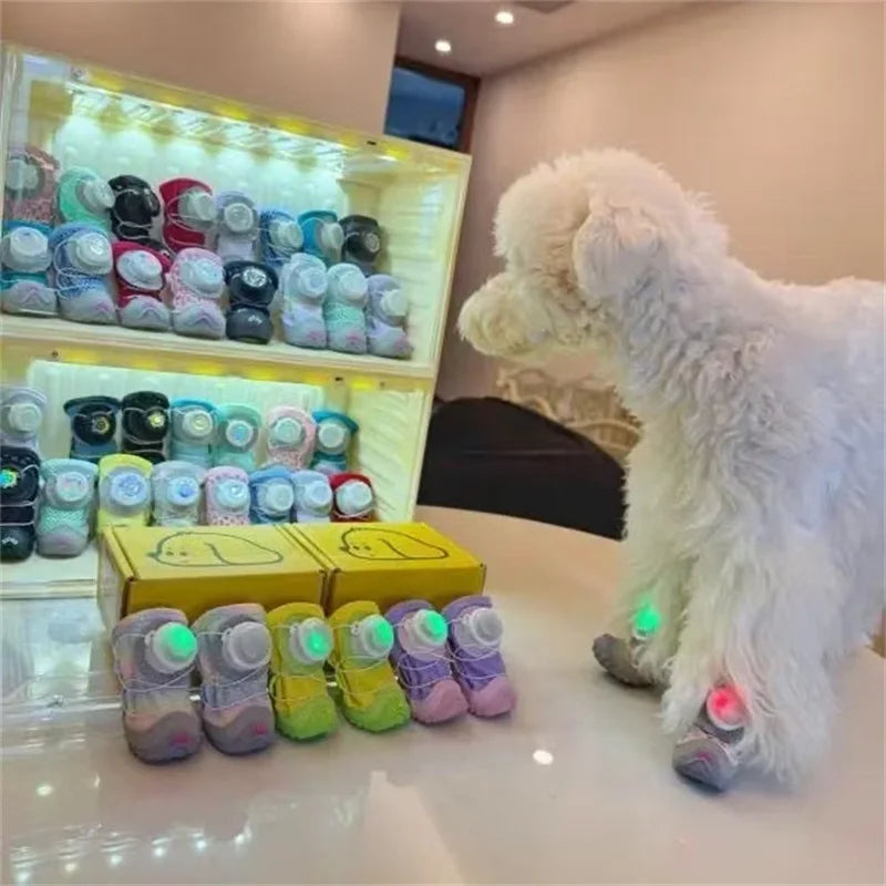 Pet glowing shoe lamp, bear teddy collar lamp, chest and back night lamp, night-time dog walking anti-loss shoe lamp