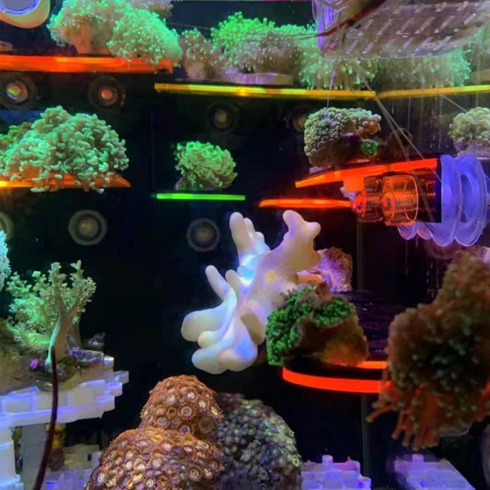 Fluorescent Coral Frag Plug Bracket Growing Holder Acrylic Rack Marine Reef Stand Aquarium Accessories Fish Tank Decoration