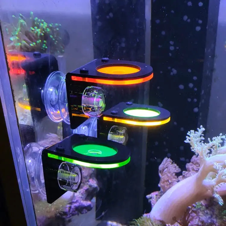 Fluorescent Coral Frag Plug Bracket Growing Holder Acrylic Rack Marine Reef Stand Aquarium Accessories Fish Tank Decoration