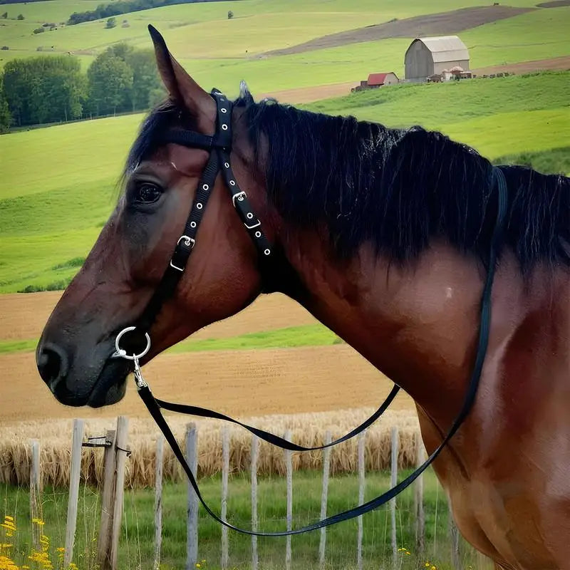 Horse Bridle Headband Chin And Throat Halters For Horses With 3 Adjustable Buckles Equestrian Training Throat And Chin Leading