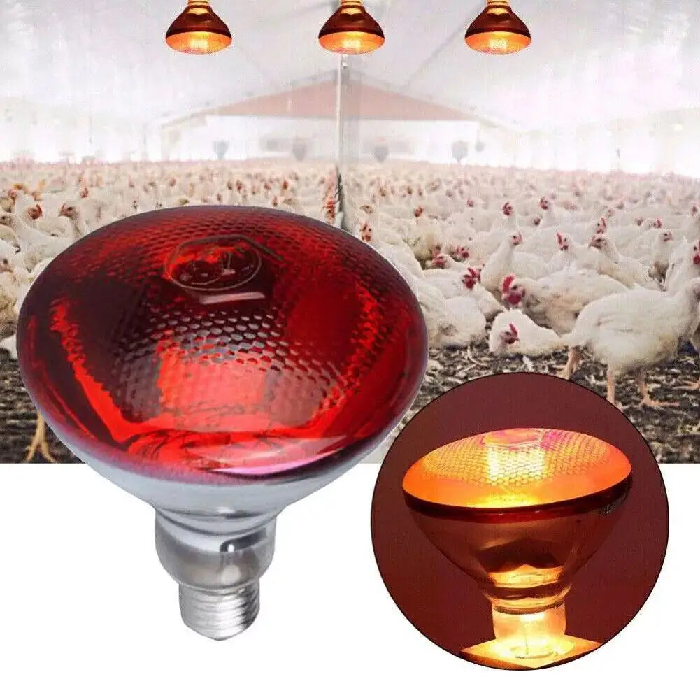 Red Heat Bulb Lamp Heat Preservation Lamp Breeding Heating Lamp Infrared Waterproof Thickening Baking Lamp For Chicks Piglets