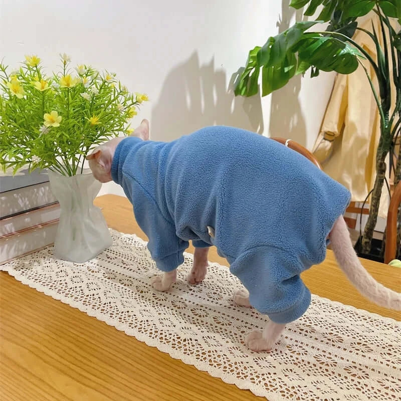 Sphynx cat wearing a blue fleece coat on a table with flowers and books, perfect for autumn and winter.