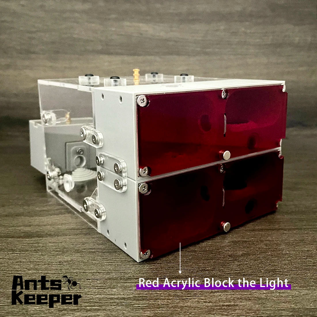 [Valley] Ant Farm for Myrmecocystus , fit for More Than Myrmecocystus , Anthill Nest for Ant Keeping Ant Keepers Accessories