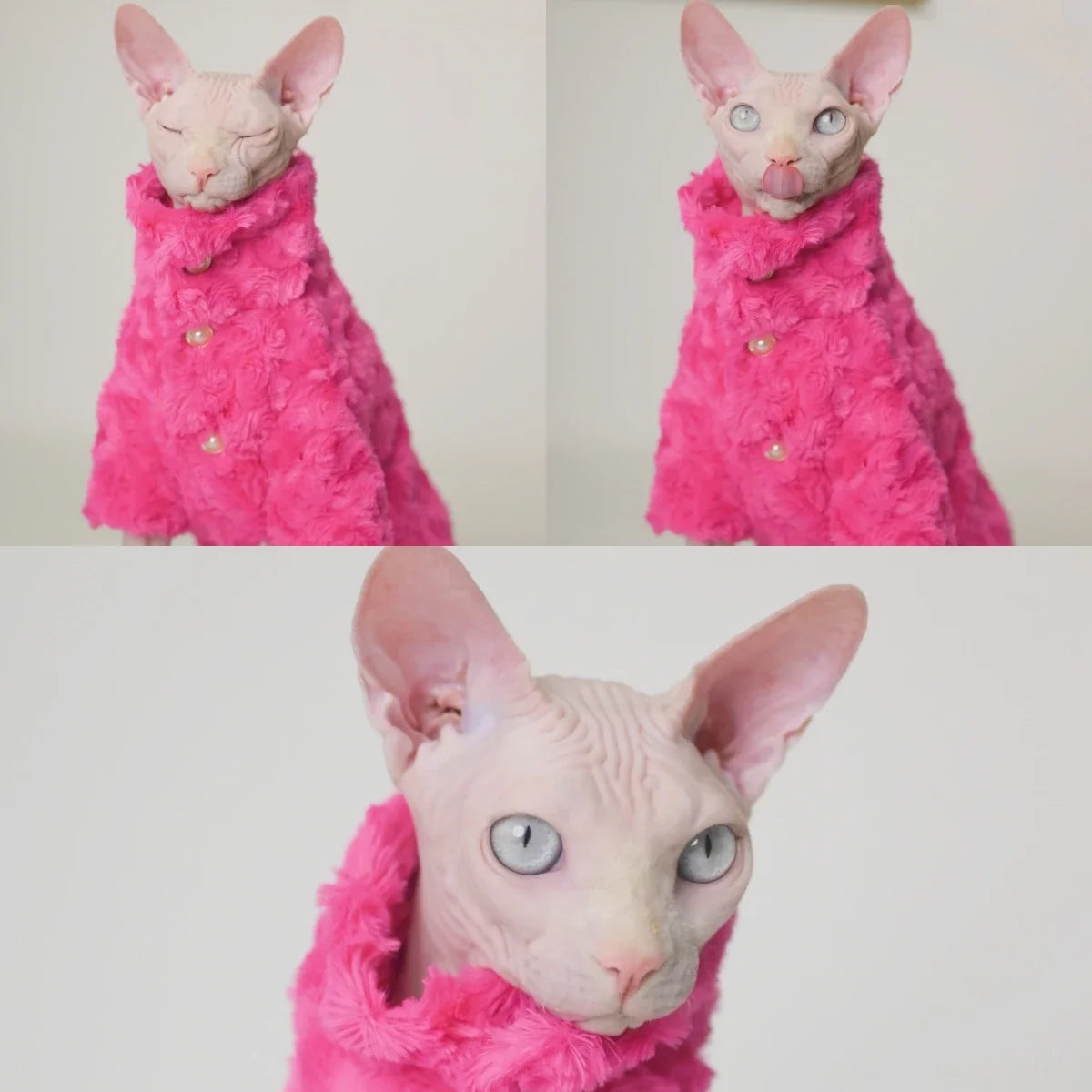Hairless Cat Clothes Winter Two-layers Warm Thick Cat Apparel for Sphynx Cats, Devon Rex Cats, Small Cats and Dogs