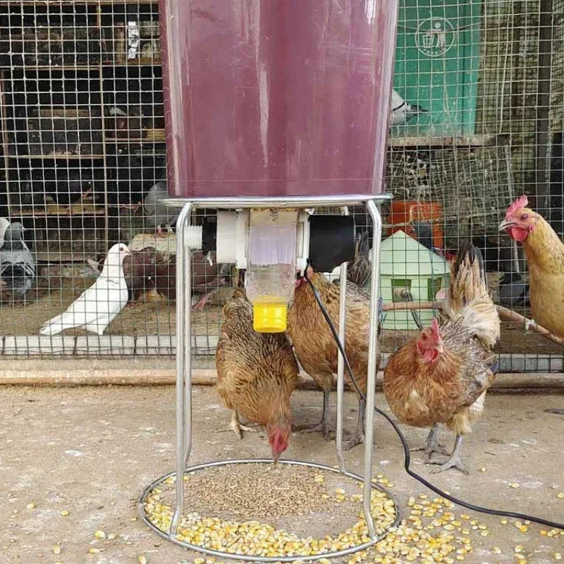 Automatic Chicken Feeder Pigeon Chicken Duck Carrier Pigeon Trough Intelligent Timing Automatic Chicken Feeder Pigeon Supplies