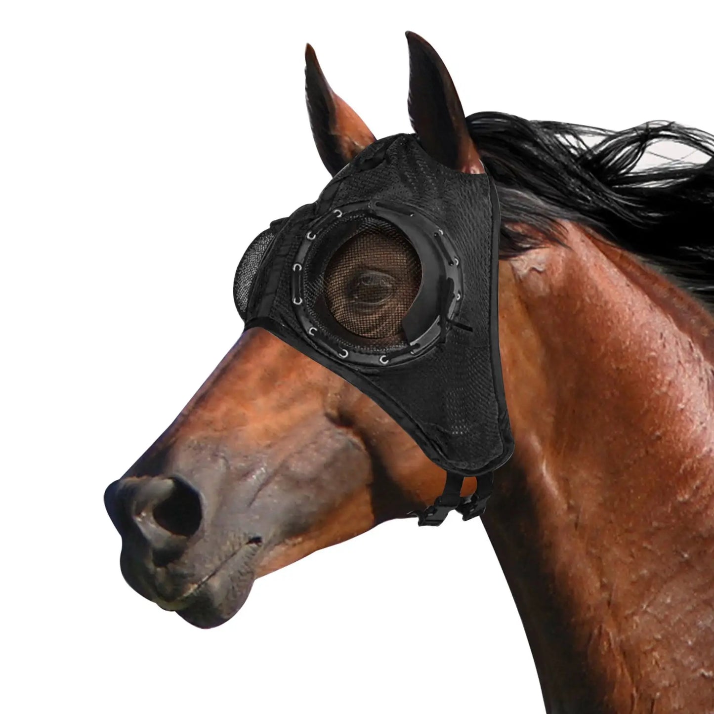 Horse racing eye mask windproof eye mask speed racing eye mask with mesh eye mask to prevent trachoma