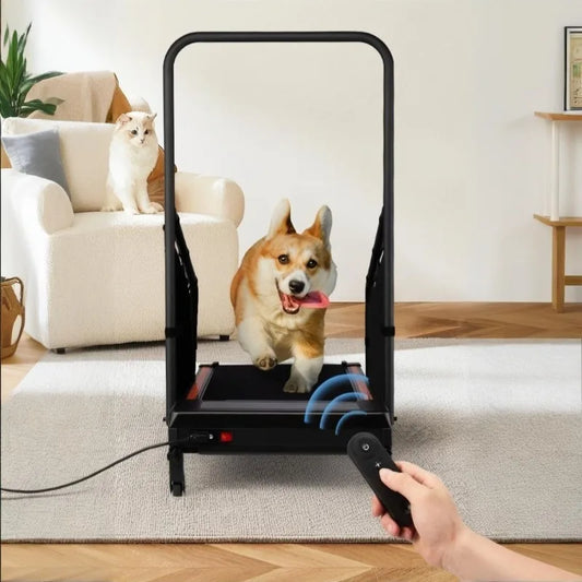 Pet Treadmill Trainer Intelligent Display Dog Running Adjustable Dog Walking Machine Non-slip Pet Trainings Supplies Products